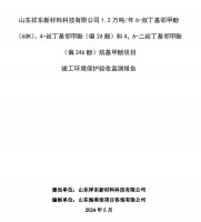 山東祥東新材料科技有限公司1.2萬噸/年6-叔丁基鄰甲(60K)、4-叔丁基鄰甲酚(偏 24 酚)和 4，6-二叔丁基鄰甲酚(偏 246 酚)烷基甲酚項目竣工環(huán)境保護驗收監(jiān)測報告